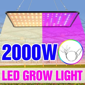 2000W Grow Light Led Лампа Пълен набор от 1500 W 1000 W Led Лампа За растенията Оранжерии Вътрешна Фито Лампа За отглеждане на Палатки САЩ, ЕС, ВЕЛИКОБРИТАНИЯ Щекер