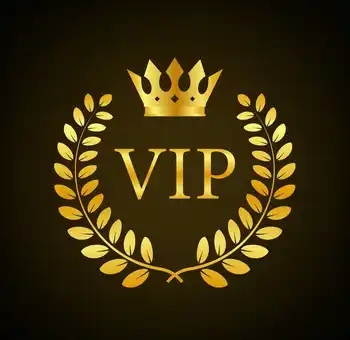 Допълнителна връзка на транспорта за VIP клиенти