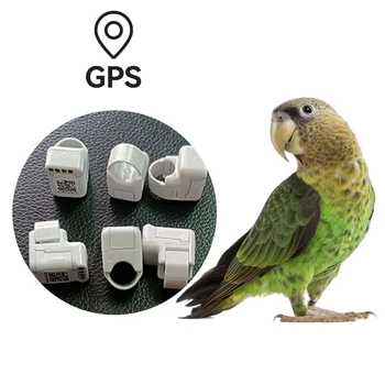 Точното позициониране GPS Голубиное пръстен за домашни любимци Локатор за проследяване в реално време, за Предотвратяване на загуба на животни Електронно пръстен на глезена птица врабче